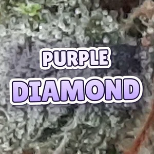 Purple Diamond Cannabis Strain