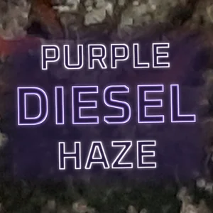 Purple Diesel Haze Cannabis Strain