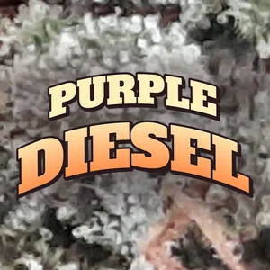 Purple Diesel Cannabis Strain