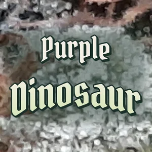 Purple Dinosaur Cannabis Strain