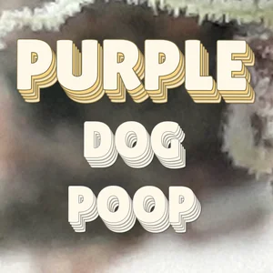 Purple Dog Poop Cannabis Strain