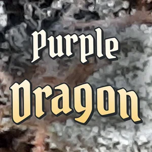 Purple Dragon Cannabis Strain