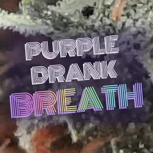 Purple Drank Breath Cannabis Strain