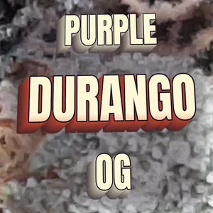 Purple Durango OG Cannabis Strain