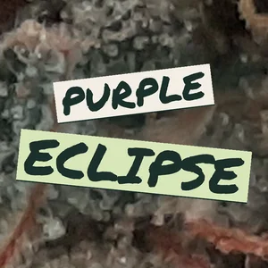 Purple Eclipse Cannabis Strain