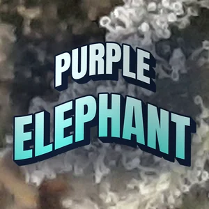 Purple Elephant Cannabis Strain