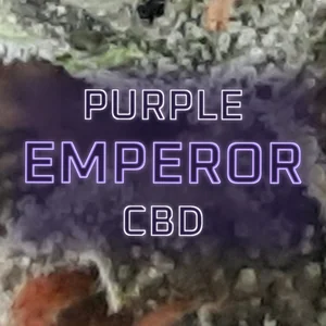 Purple Emperor CBD Cannabis Strain