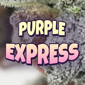 Purple Express Cannabis Strain