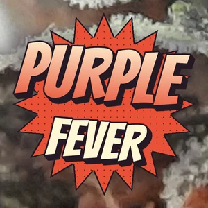 Purple Fever Cannabis Strain