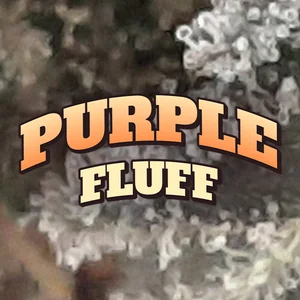Purple Fluff Cannabis Strain