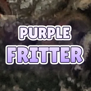 Purple Fritter Cannabis Strain