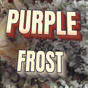 Purple Frost Cannabis Strain