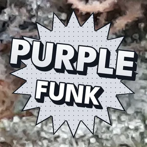 Purple Funk Cannabis Strain