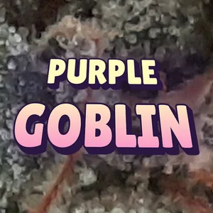 Purple Goblin Cannabis Strain