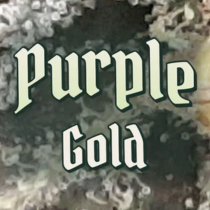 Purple Gold Cannabis Strain