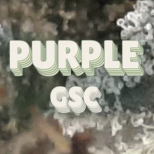 Purple GSC Cannabis Strain