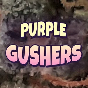 Purple Gushers Cannabis Strain