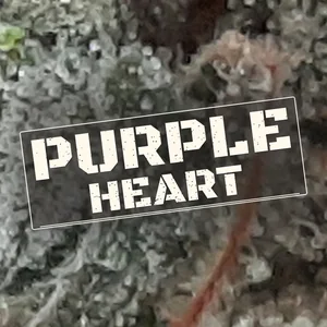 Purple Heart Cannabis Strain