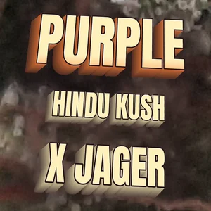 Purple Hindu Kush x Jager Cannabis Strain