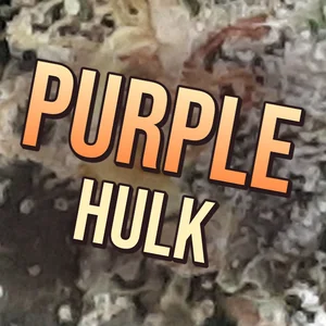Purple Hulk Cannabis Strain