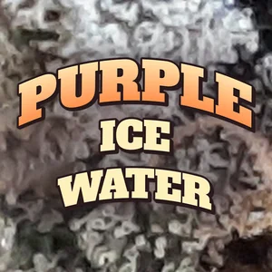 Purple Ice Water Cannabis Strain
