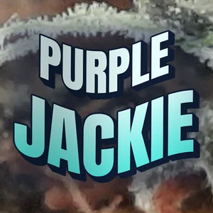 Purple Jackie Cannabis Strain