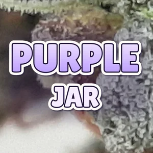 Purple Jar Cannabis Strain