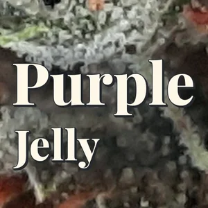 Purple Jelly Cannabis Strain