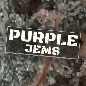 Purple Jems Cannabis Strain