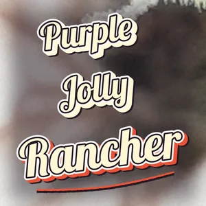 Purple Jolly Rancher Cannabis Strain