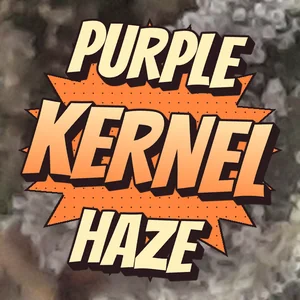 Purple Kernel Haze Cannabis Strain