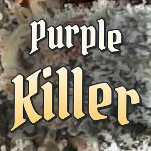 Purple Killer Cannabis Strain