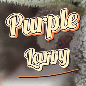 Purple Larry Cannabis Strain