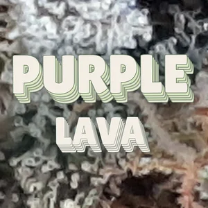 Purple Lava Cannabis Strain