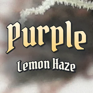 Purple Lemon Haze Cannabis Strain