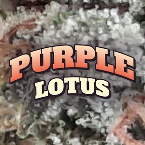 Purple Lotus Cannabis Strain