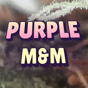 Purple M&M Cannabis Strain