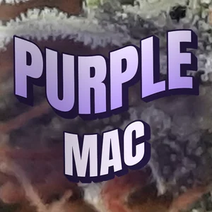 Purple MAC Cannabis Strain