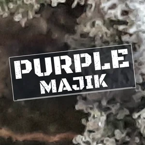 Purple Majik Cannabis Strain