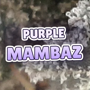 Purple Mambaz Cannabis Strain
