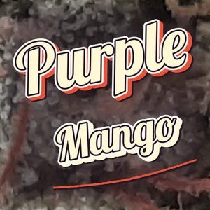 Purple Mango Cannabis Strain