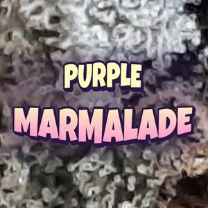 Purple Marmalade Cannabis Strain