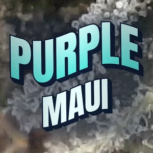 Purple Maui Cannabis Strain