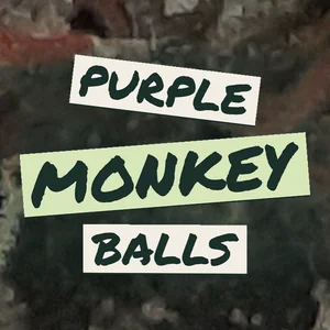 Purple Monkey Balls Cannabis Strain