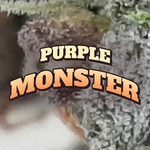 Purple Monster Cannabis Strain
