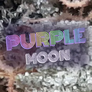 Purple Moon Cannabis Strain