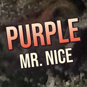 Purple Mr. Nice Cannabis Strain