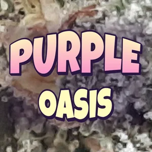 Purple Oasis Cannabis Strain