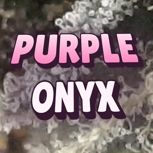 Purple Onyx Cannabis Strain