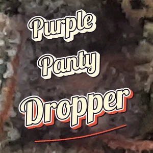Purple Panty Dropper Cannabis Strain